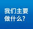 我们主要做什么? 我们主要做什么?